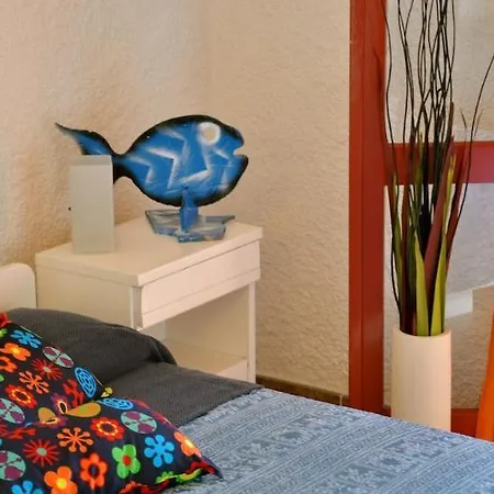 Club Hotel 3*